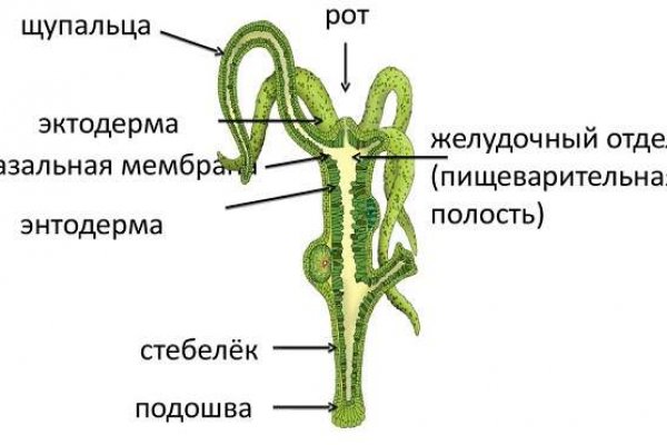 Кракен зеркала официальные