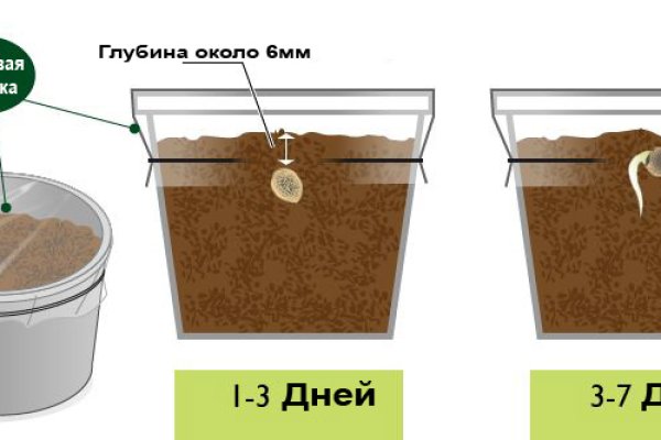 Кракен даркнет официальный