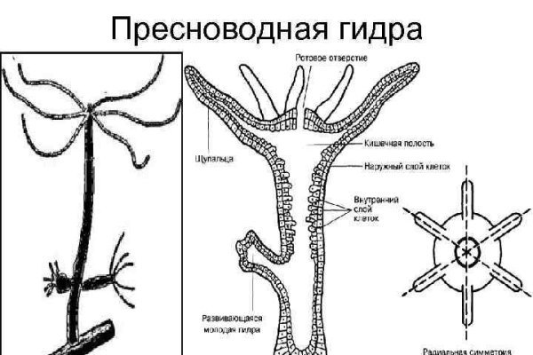 Кракен маркетплейс ссылка телеграмм